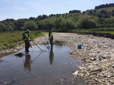 Environment Agency staff carrying out their fish rescue on a drying up River Teme in late May 2020 (photo: Environment Agency)
