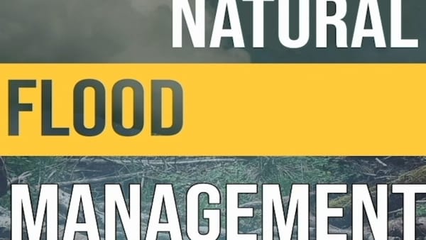 Natural Flood Management Videos