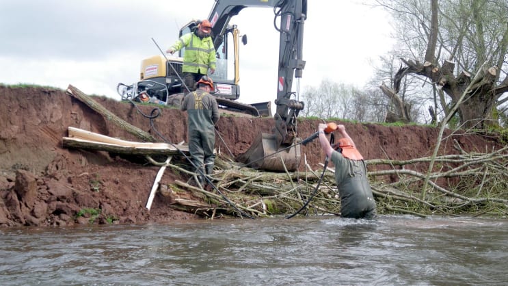Foundation staff pinning willow to the banks of the Llynfi in 2014 to prevent erosion. The image a the top of the page shows the same section of river one year later.