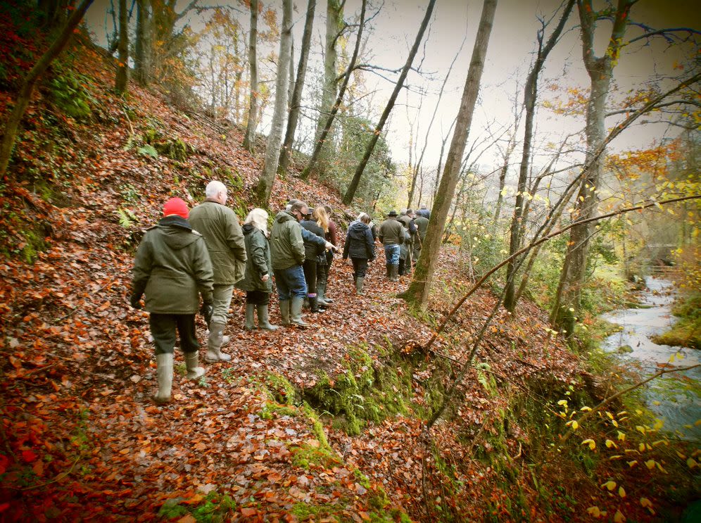 The Autumn River Walk is on Sunday 25th November.