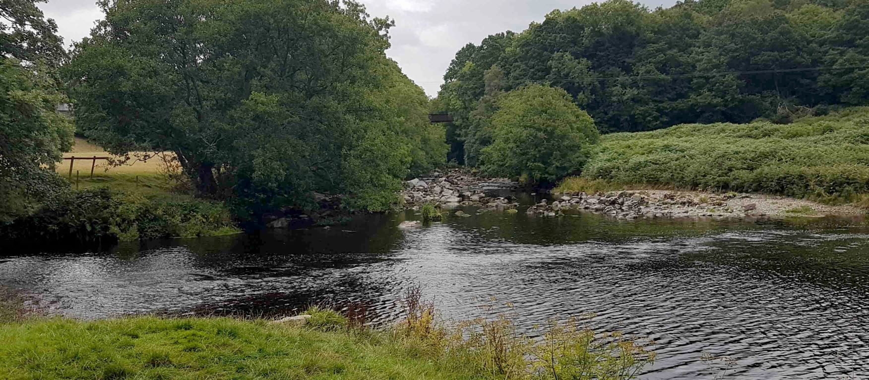The confluence of the Elan (flowing left to right in the picture and the Wye in July this year. The tributary was estimated to be making up over 75% of the flow at the time